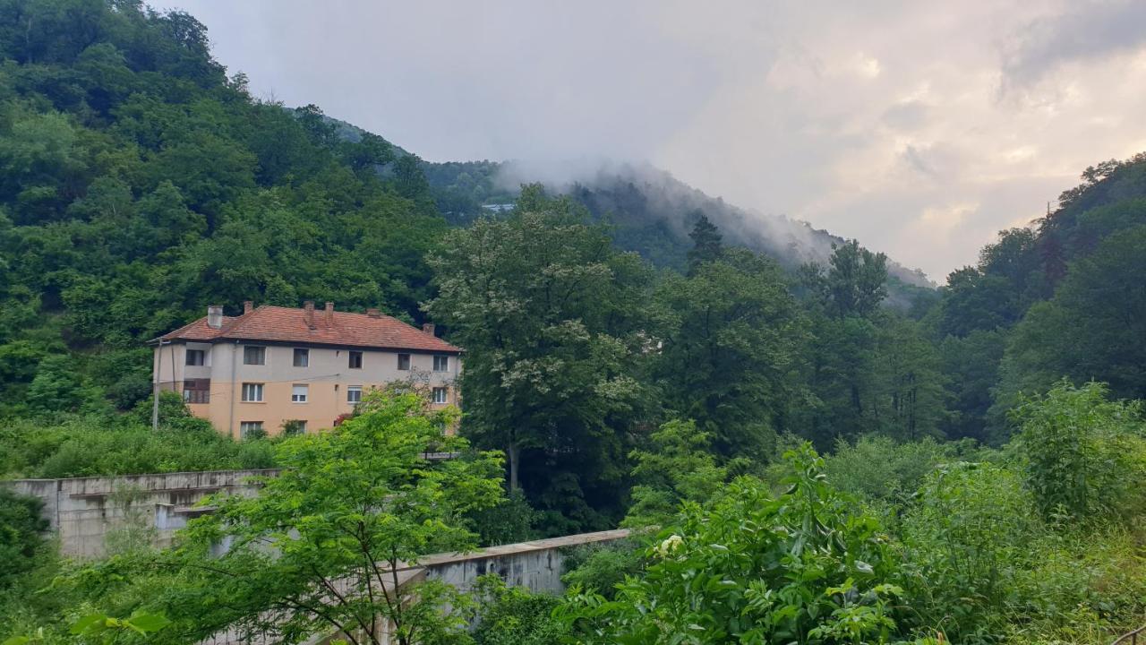 Casa Arion Daire Băile Herculane Dış mekan fotoğraf
