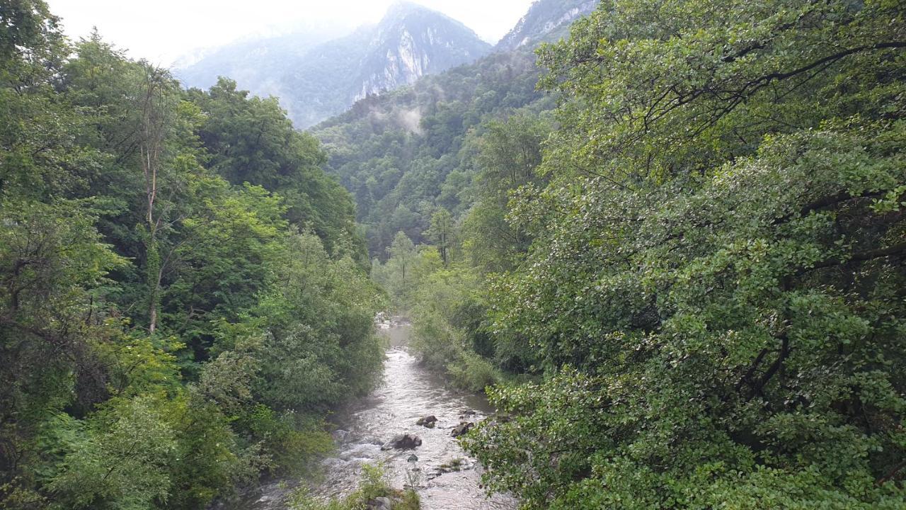 Casa Arion Daire Băile Herculane Dış mekan fotoğraf