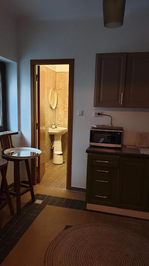 Casa Arion Daire Băile Herculane Dış mekan fotoğraf