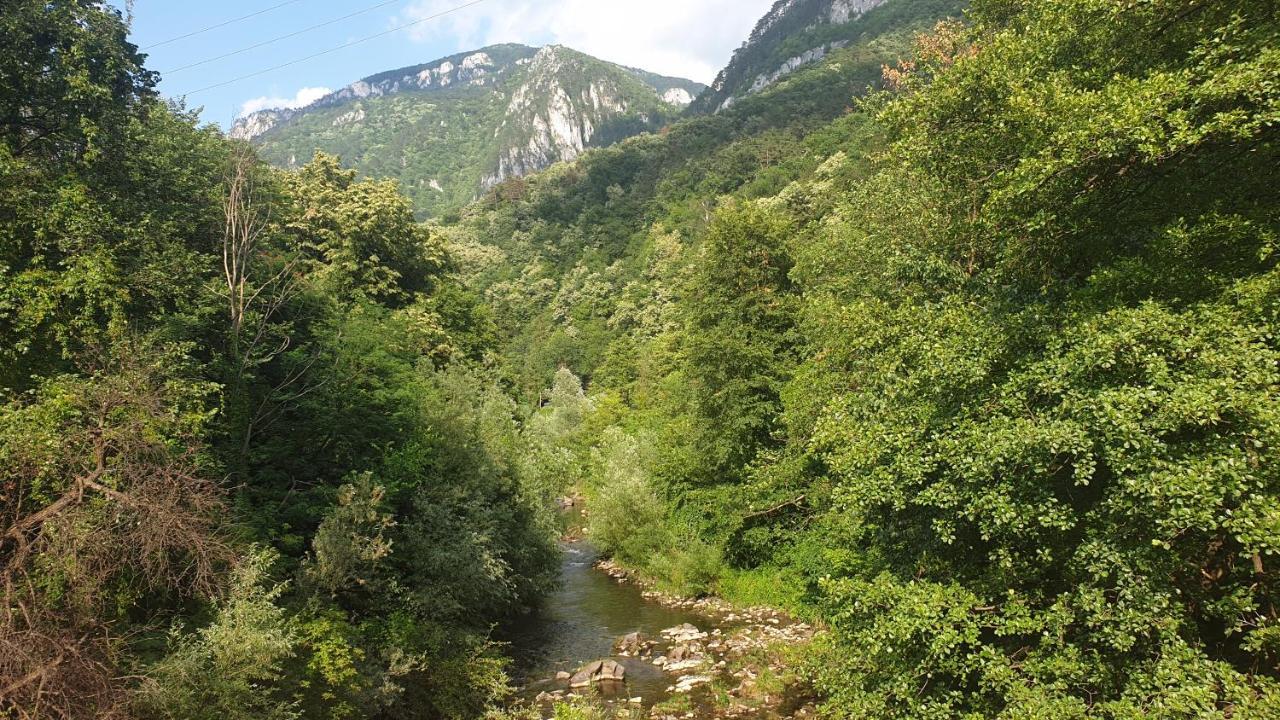 Casa Arion Daire Băile Herculane Dış mekan fotoğraf