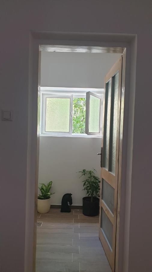 Casa Arion Daire Băile Herculane Dış mekan fotoğraf
