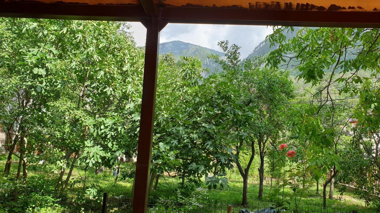 Casa Arion Daire Băile Herculane Dış mekan fotoğraf