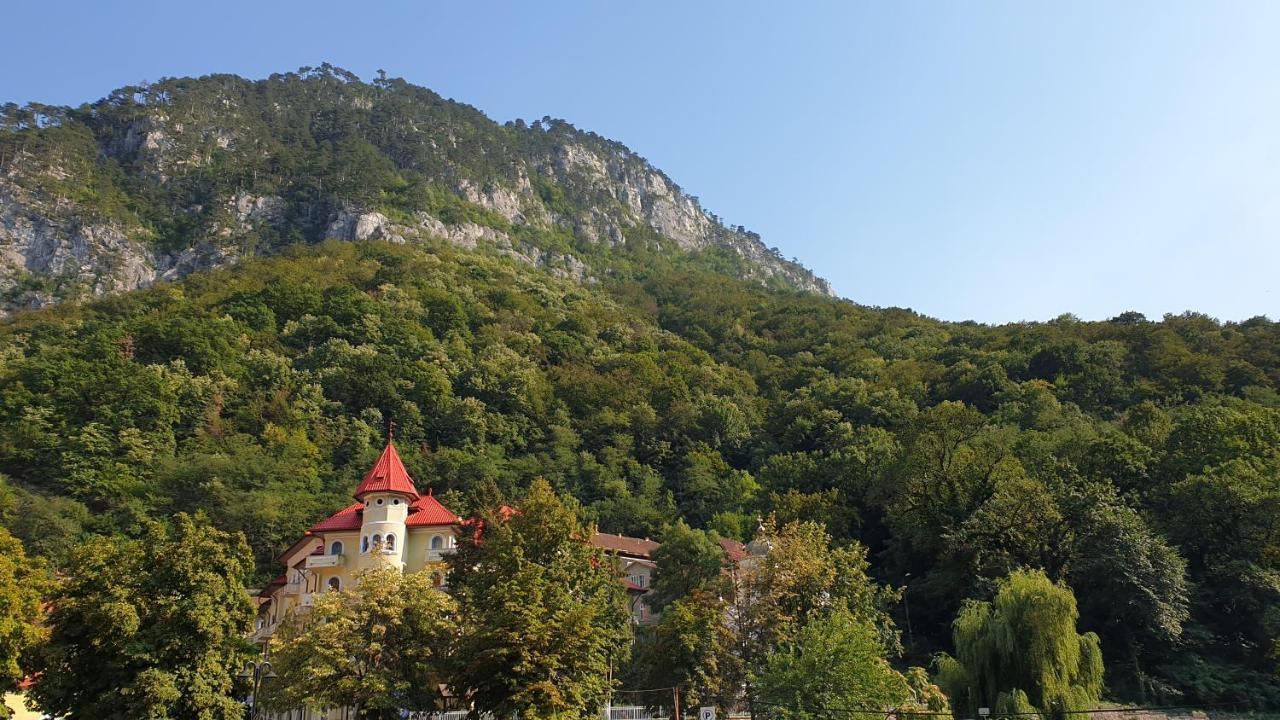 Casa Arion Daire Băile Herculane Dış mekan fotoğraf