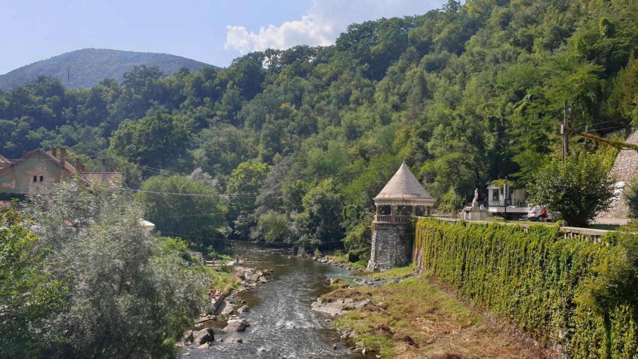 Casa Arion Daire Băile Herculane Dış mekan fotoğraf