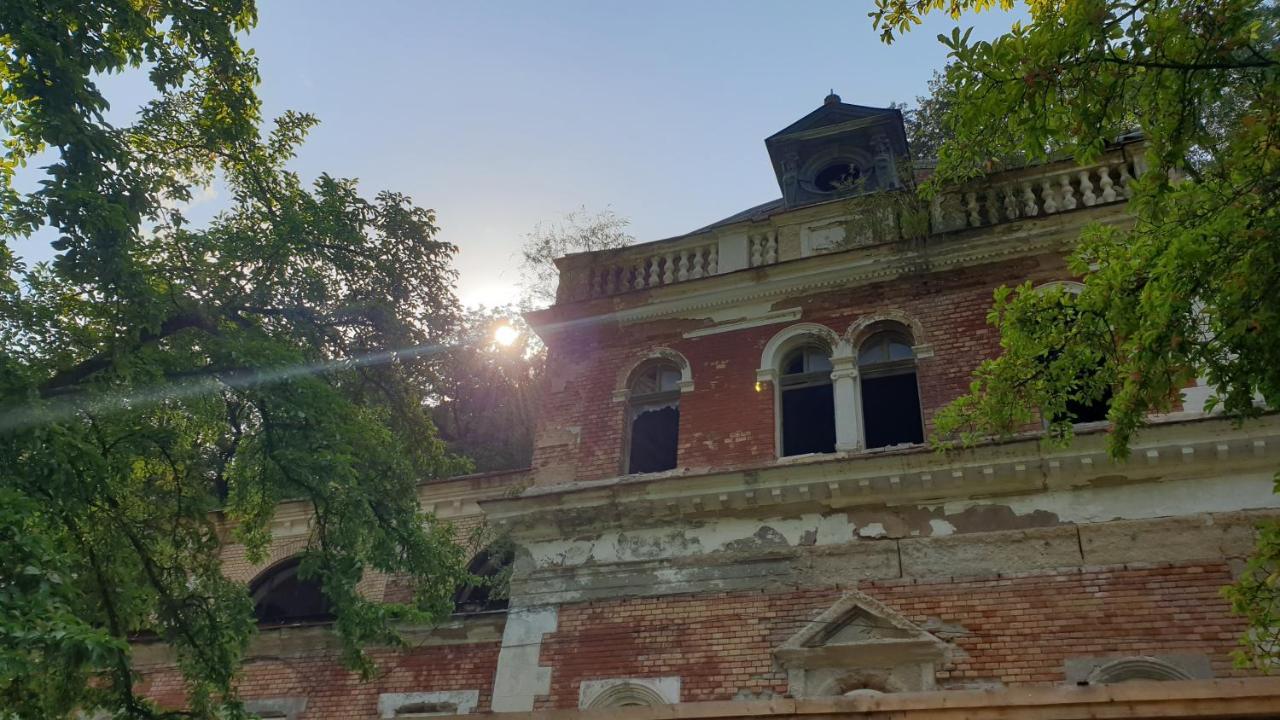 Casa Arion Daire Băile Herculane Dış mekan fotoğraf