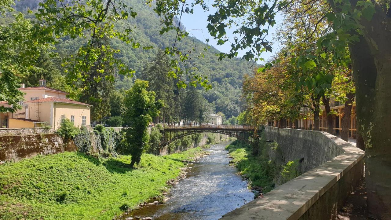 Casa Arion Daire Băile Herculane Dış mekan fotoğraf