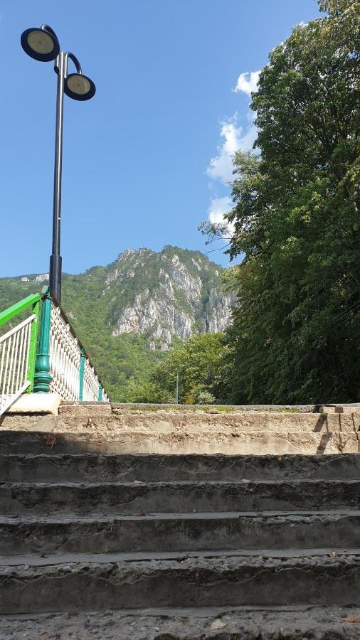 Casa Arion Daire Băile Herculane Dış mekan fotoğraf