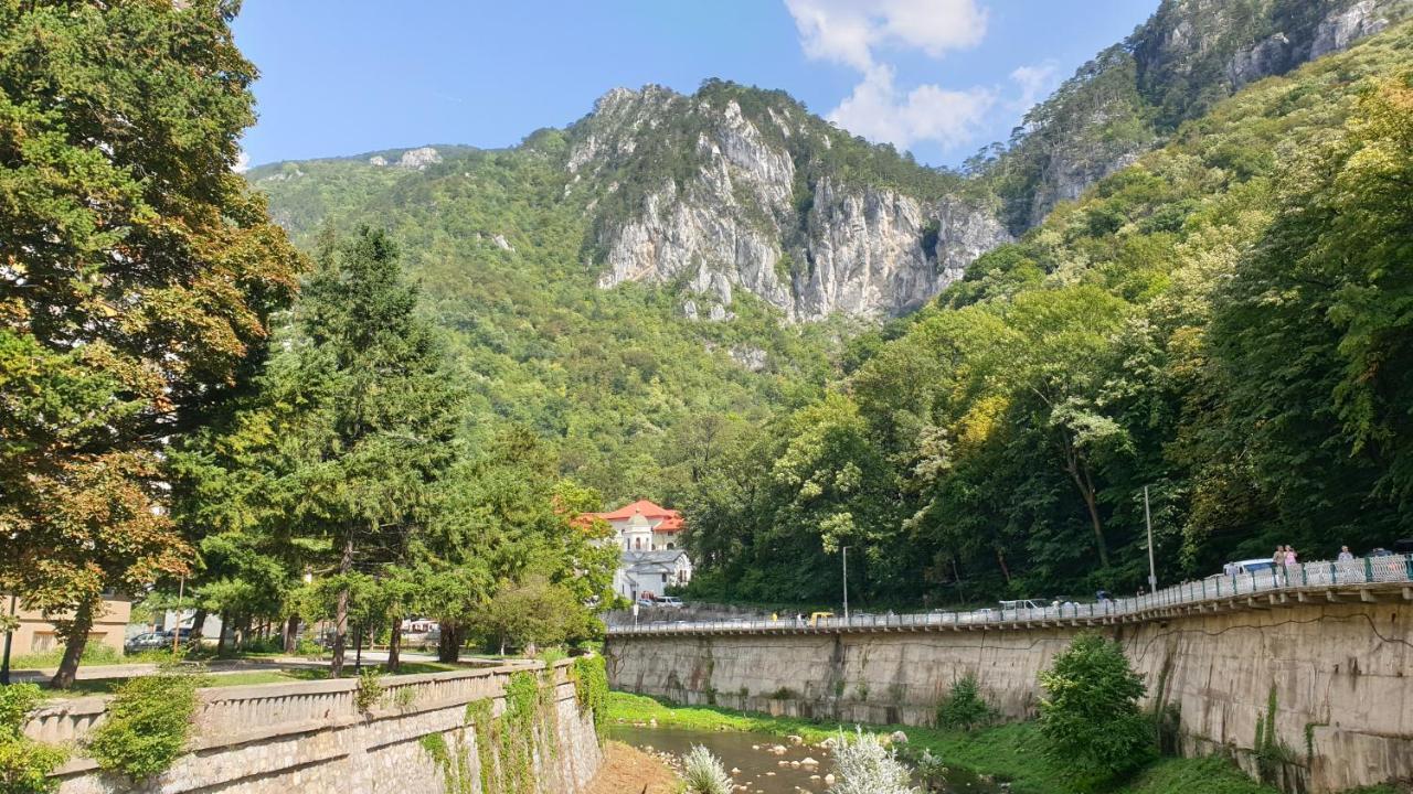 Casa Arion Daire Băile Herculane Dış mekan fotoğraf