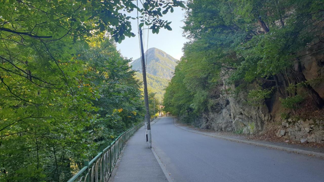 Casa Arion Daire Băile Herculane Dış mekan fotoğraf