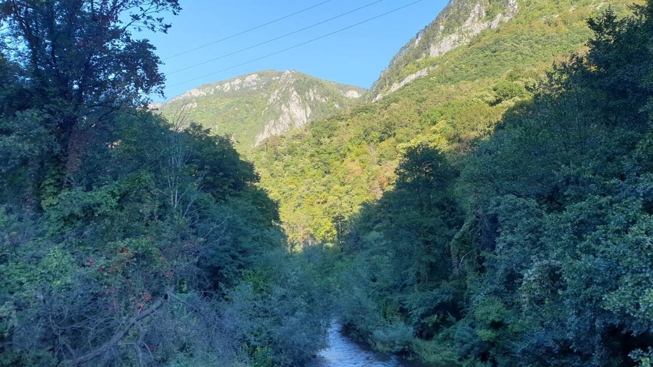 Casa Arion Daire Băile Herculane Dış mekan fotoğraf