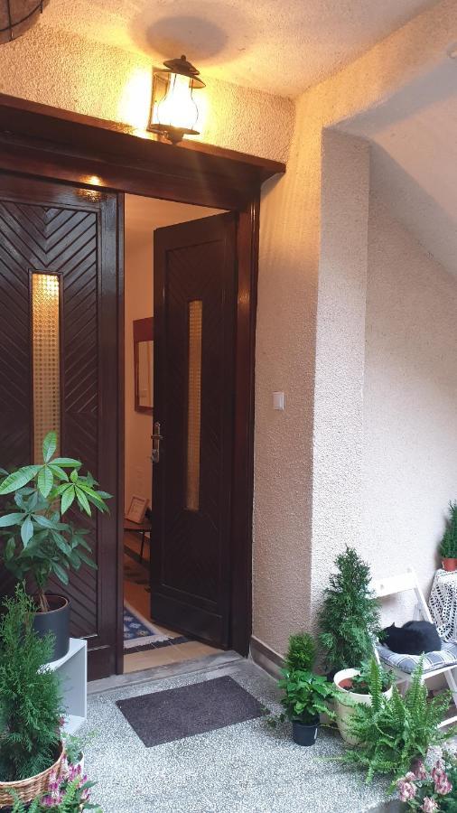 Casa Arion Daire Băile Herculane Dış mekan fotoğraf