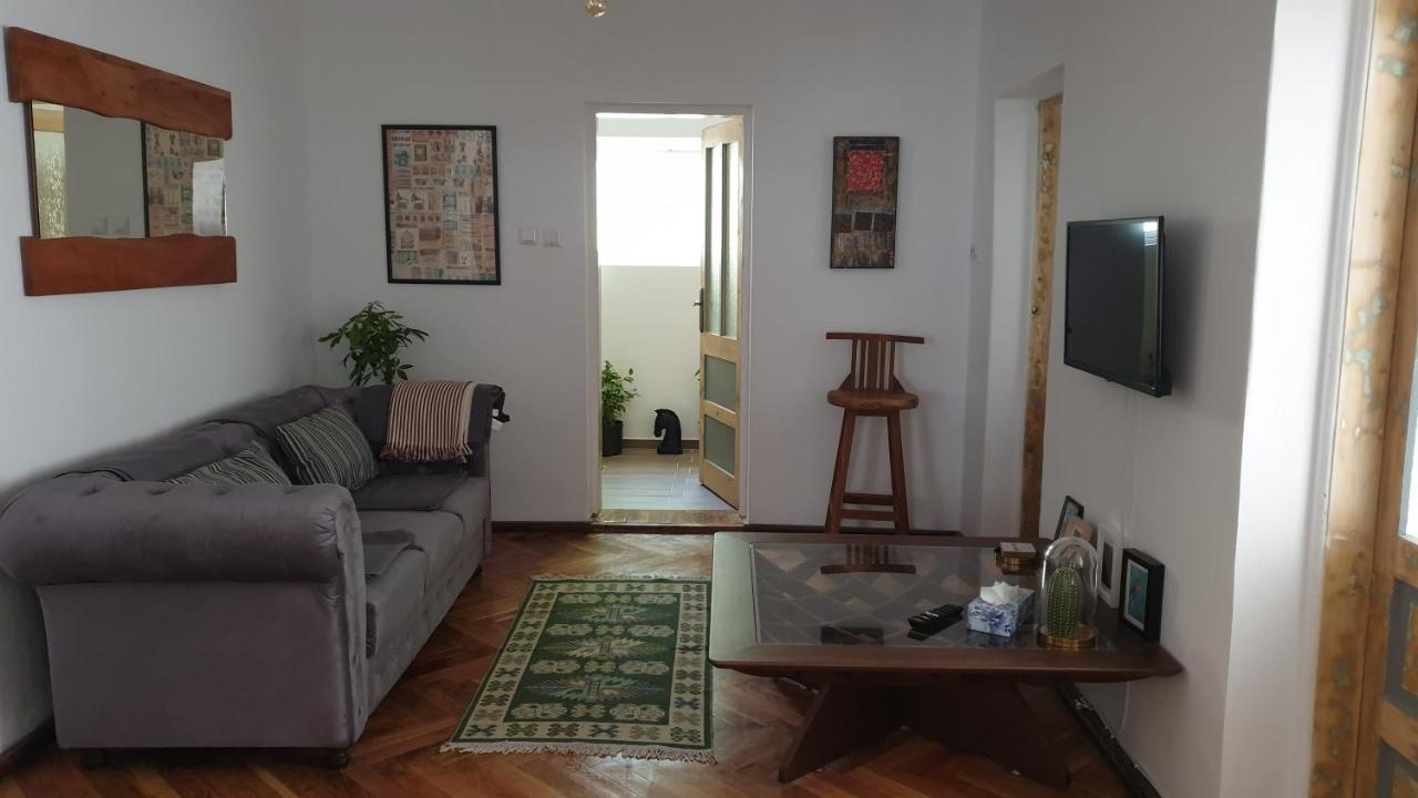 Casa Arion Daire Băile Herculane Dış mekan fotoğraf